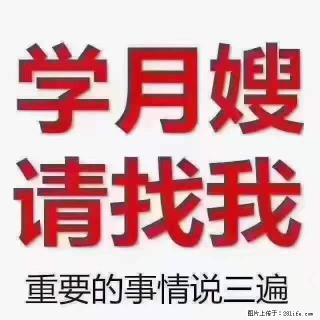 为什么要学习月嫂，育婴师？ - 其他广告 - 广告专区 - 曲靖分类信息 - 曲靖28生活网 qj.28life.net