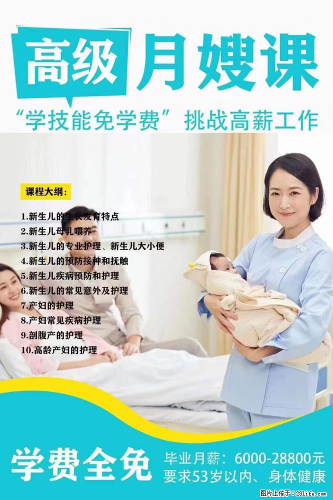 为什么要学习月嫂，育婴师？ - 其他广告 - 广告专区 - 曲靖分类信息 - 曲靖28生活网 qj.28life.net