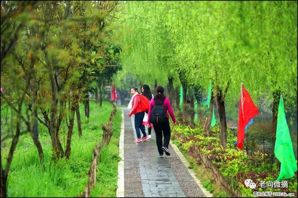 【春天,广西桂林灌阳县向您发出邀请!】江口老街又逢春 - 游山玩水 - 曲靖生活社区 - 曲靖28生活网 qj.28life.net
