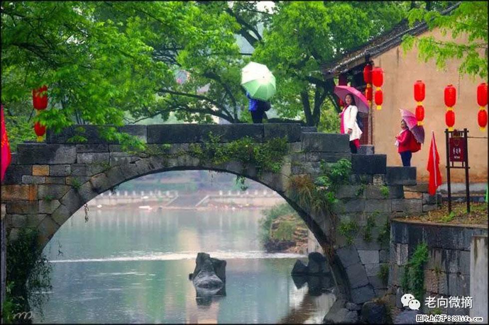 【春天,广西桂林灌阳县向您发出邀请!】江口老街又逢春 - 游山玩水 - 曲靖生活社区 - 曲靖28生活网 qj.28life.net