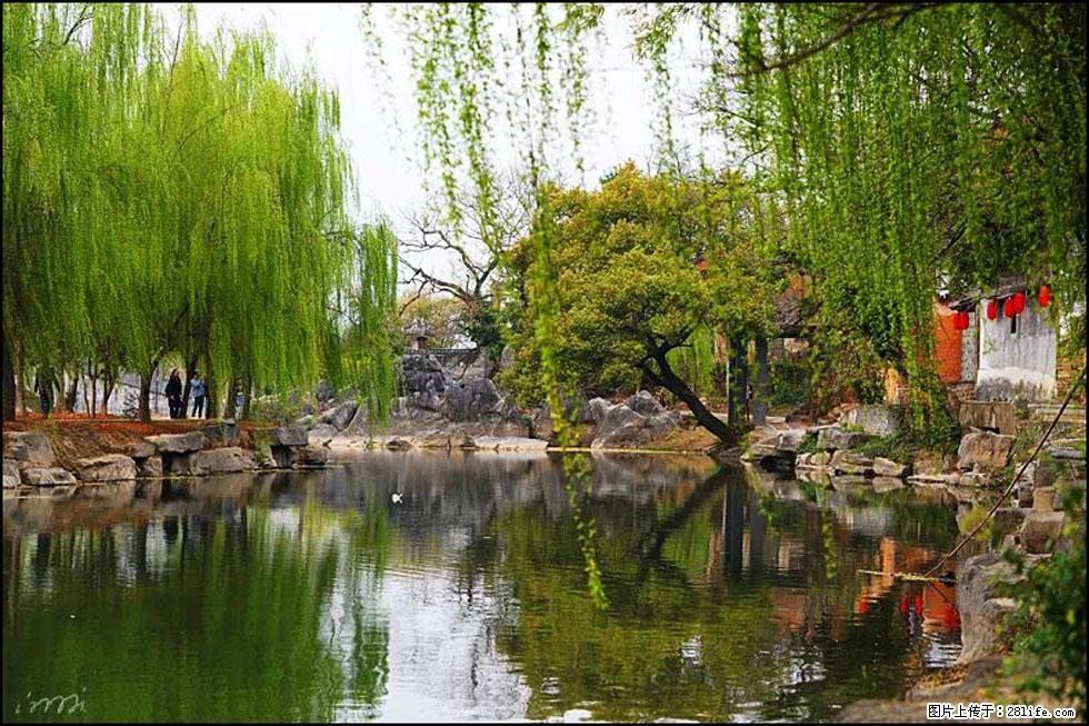 【春天,广西桂林灌阳县向您发出邀请!】江口老街又逢春 - 游山玩水 - 曲靖生活社区 - 曲靖28生活网 qj.28life.net