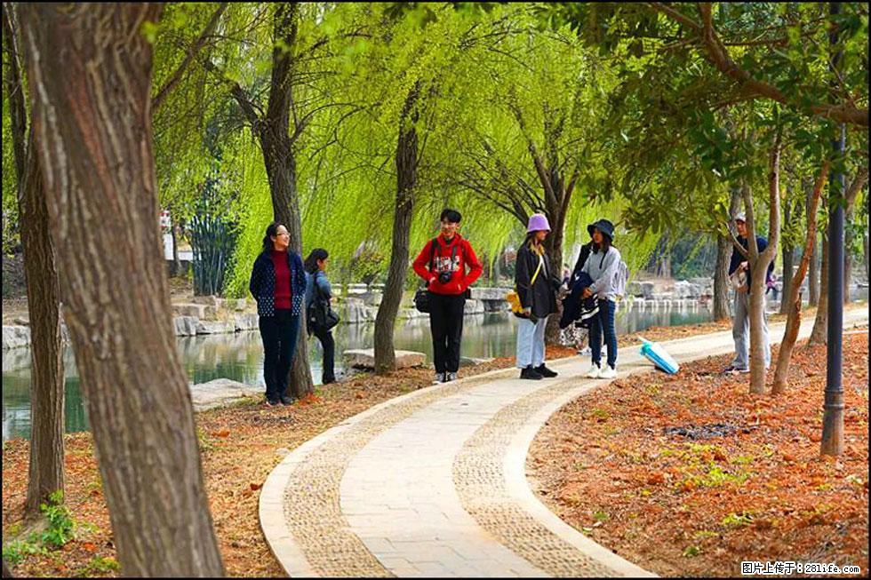 【春天,广西桂林灌阳县向您发出邀请!】江口老街又逢春 - 游山玩水 - 曲靖生活社区 - 曲靖28生活网 qj.28life.net
