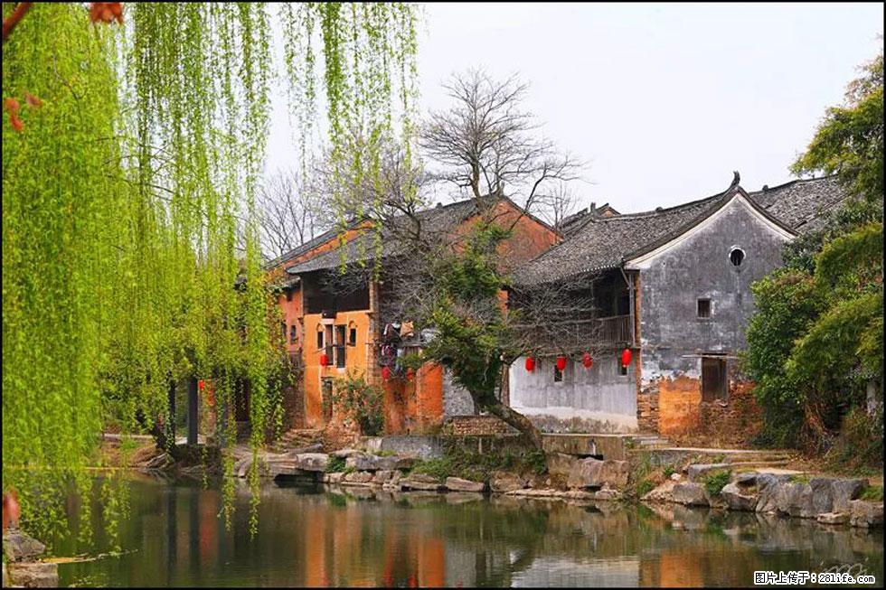 【春天,广西桂林灌阳县向您发出邀请!】江口老街又逢春 - 游山玩水 - 曲靖生活社区 - 曲靖28生活网 qj.28life.net