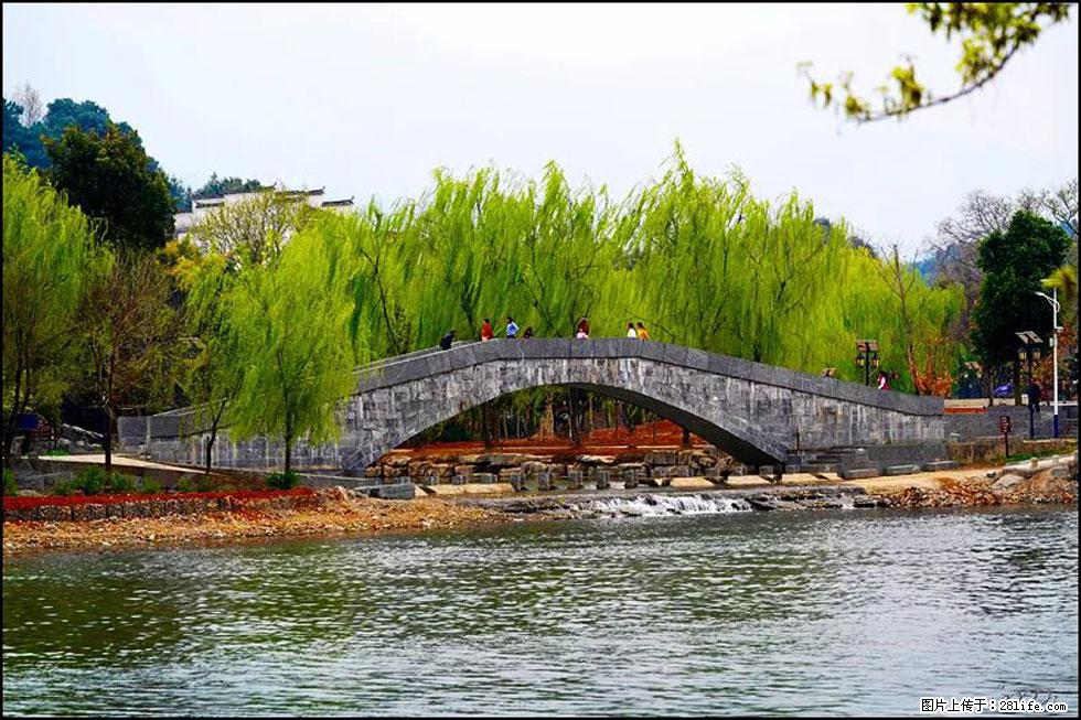 【春天,广西桂林灌阳县向您发出邀请!】江口老街又逢春 - 游山玩水 - 曲靖生活社区 - 曲靖28生活网 qj.28life.net