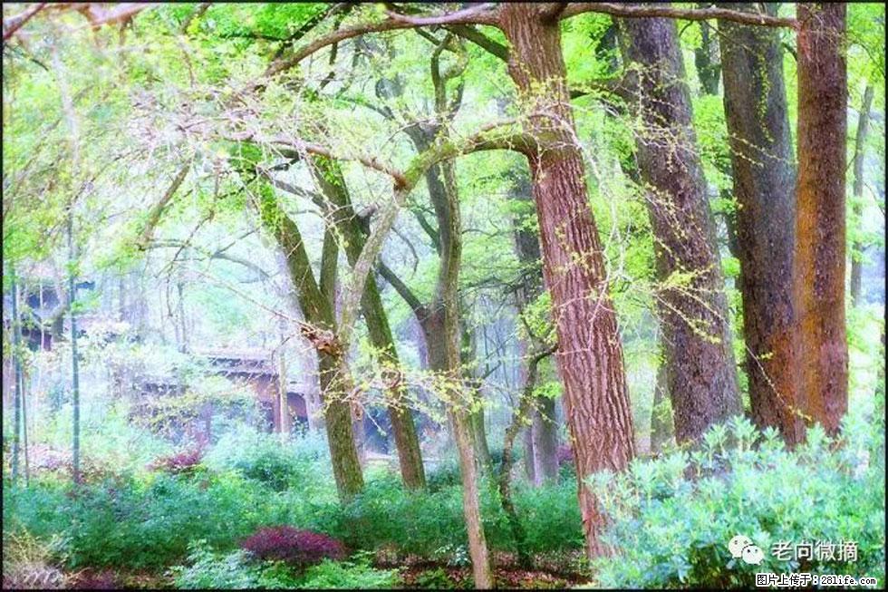 【春天，广西桂林灌阳县向您发出邀请！】在小龙村与春天约会 - 游山玩水 - 曲靖生活社区 - 曲靖28生活网 qj.28life.net
