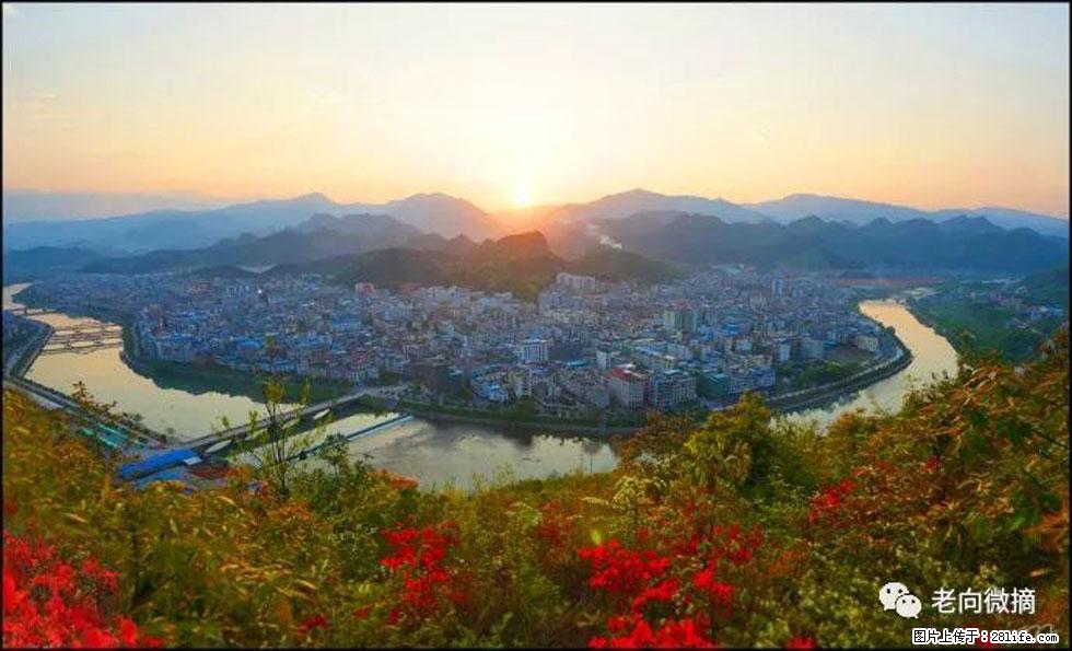 【春天，广西桂林灌阳县向您发出邀请！】登麒麟山，相约映山红 - 游山玩水 - 曲靖生活社区 - 曲靖28生活网 qj.28life.net
