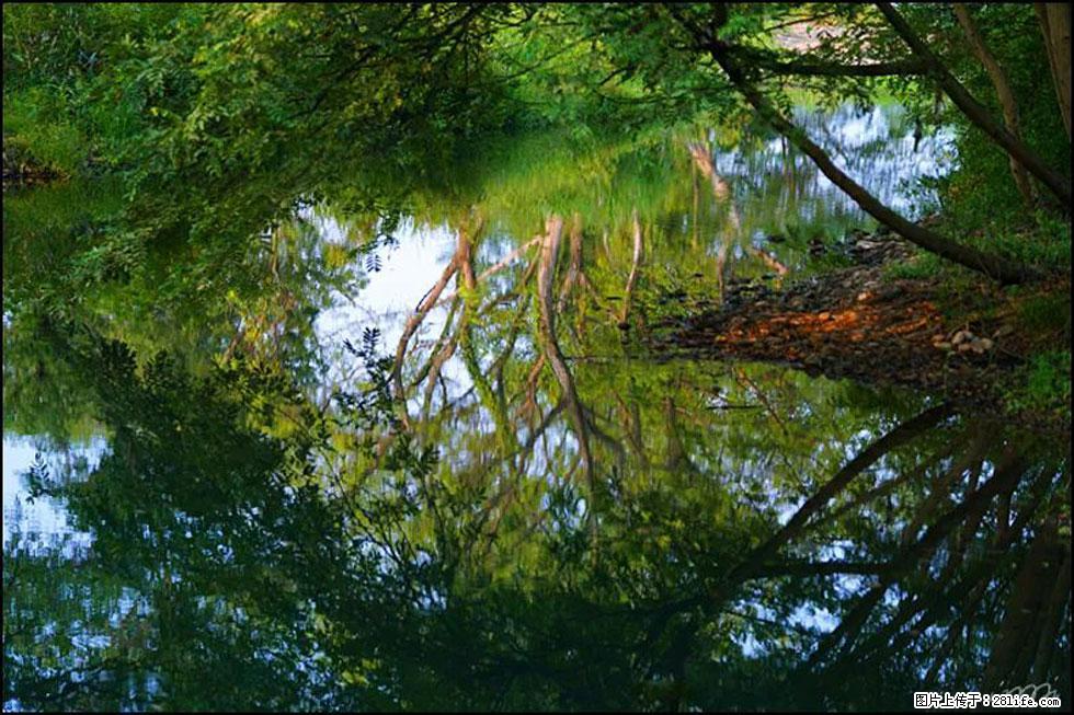 【春天，广西桂林灌阳县向您发出邀请！】熊家寨湿地公园 - 游山玩水 - 曲靖生活社区 - 曲靖28生活网 qj.28life.net