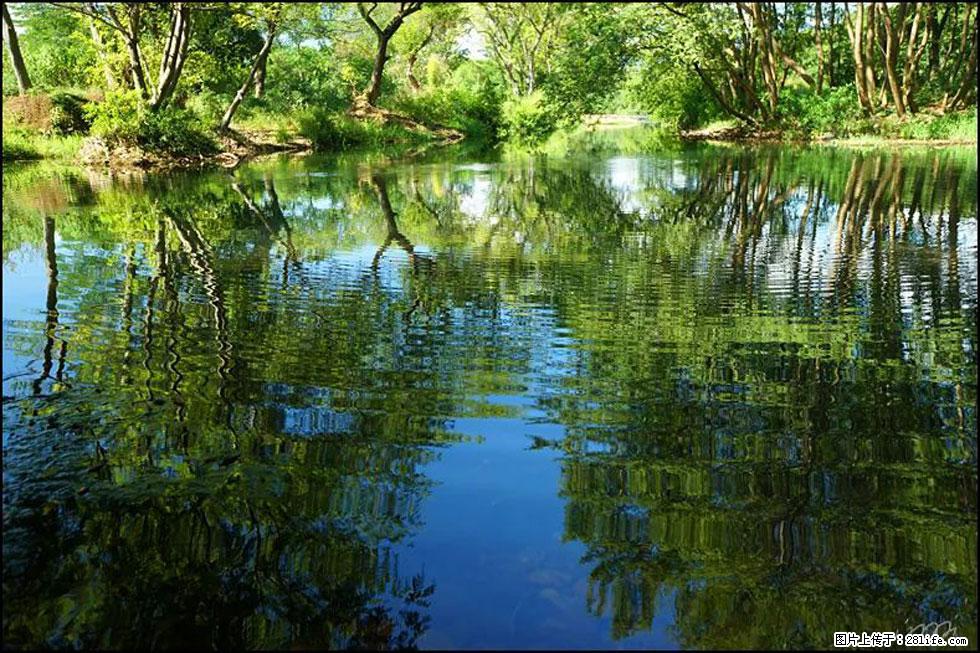 【春天，广西桂林灌阳县向您发出邀请！】熊家寨湿地公园 - 游山玩水 - 曲靖生活社区 - 曲靖28生活网 qj.28life.net