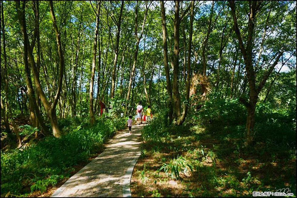 【春天，广西桂林灌阳县向您发出邀请！】熊家寨湿地公园 - 游山玩水 - 曲靖生活社区 - 曲靖28生活网 qj.28life.net