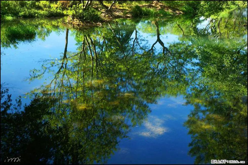【春天，广西桂林灌阳县向您发出邀请！】熊家寨湿地公园 - 游山玩水 - 曲靖生活社区 - 曲靖28生活网 qj.28life.net