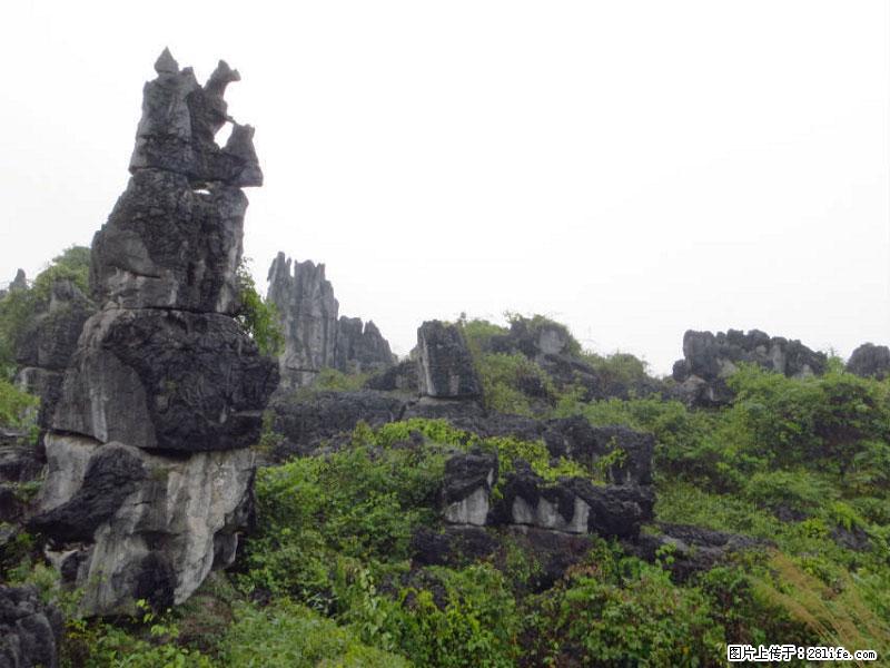 桂林旅游名城景点：灌阳文市石林 - 游山玩水 - 曲靖生活社区 - 曲靖28生活网 qj.28life.net