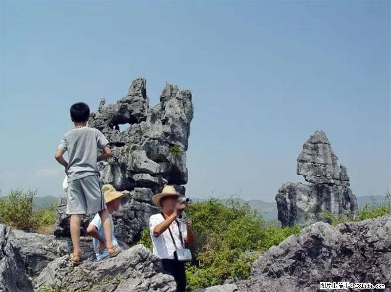 桂林旅游名城景点：灌阳文市石林 - 游山玩水 - 曲靖生活社区 - 曲靖28生活网 qj.28life.net