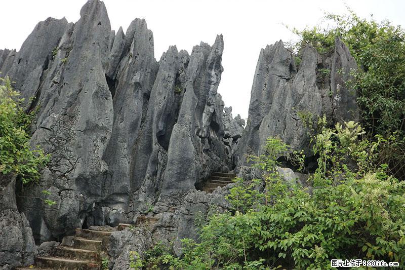 桂林旅游名城景点：灌阳文市石林 - 游山玩水 - 曲靖生活社区 - 曲靖28生活网 qj.28life.net
