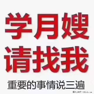 为什么要学习月嫂，育婴师？ - 曲靖28生活网 qj.28life.net