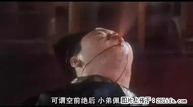 笑癫了！一女的怀孕三年未生，他终于忍不住了... - 娱乐八卦 - 曲靖生活社区 - 曲靖28生活网 qj.28life.net
