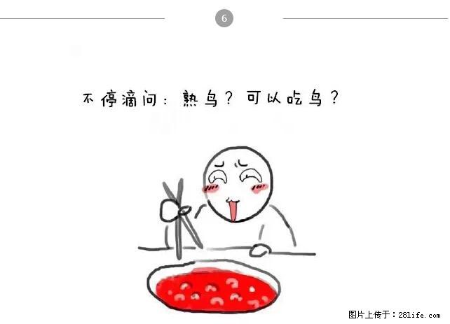 千万不要和这9种哈卵一起吃火锅！ - 美食天地 - 曲靖生活社区 - 曲靖28生活网 qj.28life.net