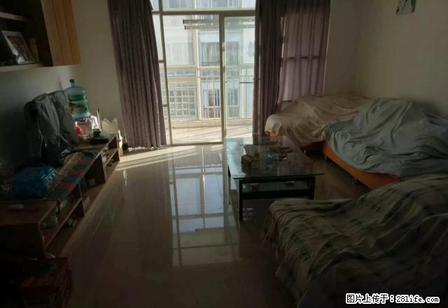 南片区金熙苑精装修新房1600元 - 房屋出租 - 房屋租售 - 曲靖分类信息 - 曲靖28生活网 qj.28life.net