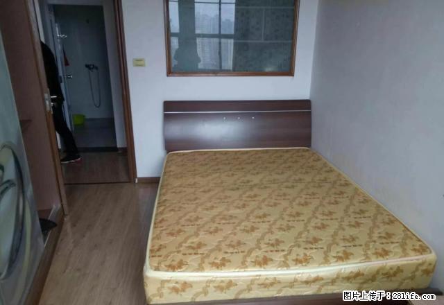 市中心赢城世家这要900元 - 房屋出租 - 房屋租售 - 曲靖分类信息 - 曲靖28生活网 qj.28life.net