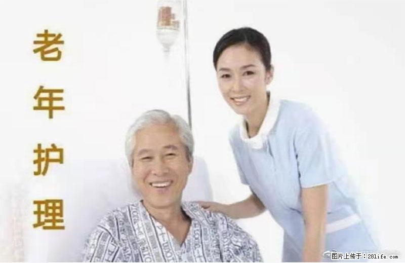 上海国企养老院，星级酒店环境，招聘养老护工 - 职场交流 - 曲靖生活社区 - 曲靖28生活网 qj.28life.net