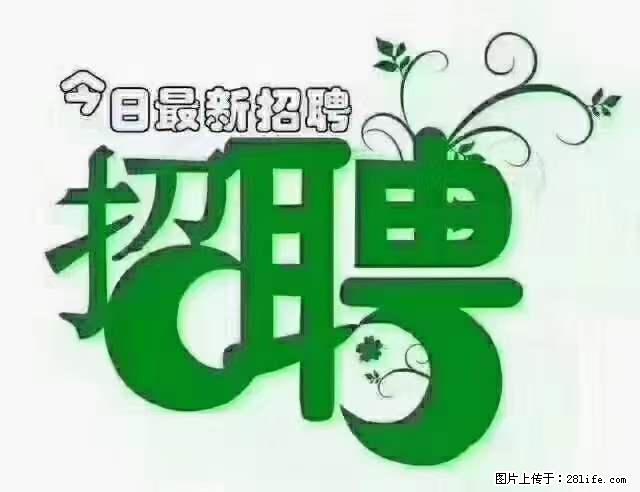 【招聘摄像师】待遇:试用期6000元/月,转正7000元/月+五险一金+餐补+节日福利+奖金 - 其他招聘信息 - 招聘求职 - 曲靖分类信息 - 曲靖28生活网 qj.28life.net