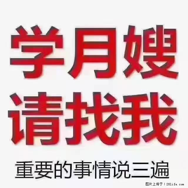 【招聘】月嫂，上海徐汇区 - 职场交流 - 曲靖生活社区 - 曲靖28生活网 qj.28life.net