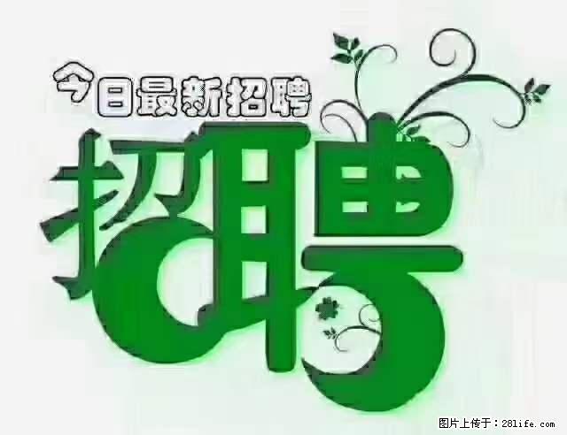 上海青浦区招仓管 - 职场交流 - 曲靖生活社区 - 曲靖28生活网 qj.28life.net
