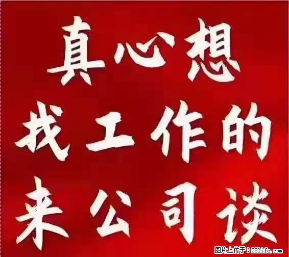 【上海】国企，医院招两名男保安，55岁以下，身高1.7米以上，无犯罪记录不良嗜好 - 职场交流 - 曲靖生活社区 - 曲靖28生活网 qj.28life.net