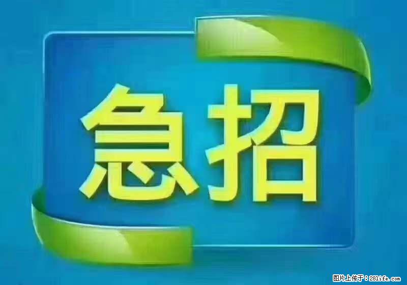 招出纳8000元/月，无证可以，要有相关经验，上海五险一金，包住，包工作餐，做六休一。 - 职场交流 - 曲靖生活社区 - 曲靖28生活网 qj.28life.net