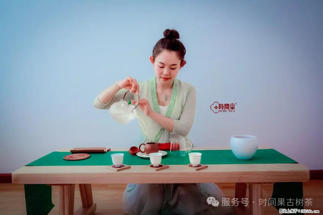 时间果百年古树龙珠普洱生茶 - 购物交流 - 曲靖生活社区 - 曲靖28生活网 qj.28life.net
