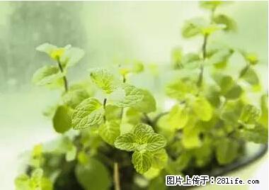 晕车、脚气、牙齿变黄、皮肤粗糙?学会这些三分钟搞定! - 曲靖生活资讯 - 曲靖28生活网 qj.28life.net