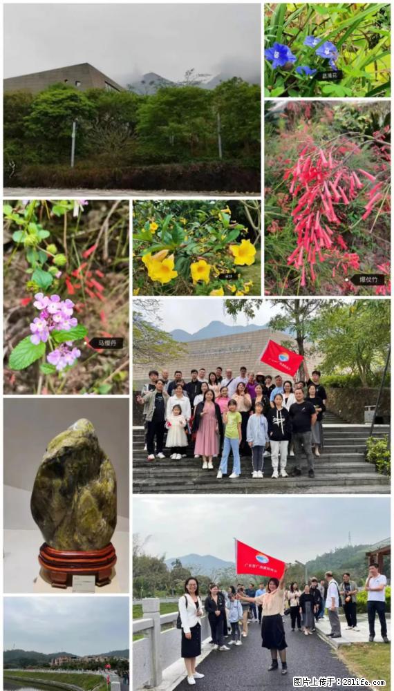 “粤灌文化 美好生活”油茶文化主题活动在广东深圳成功举办 - 曲靖生活资讯 - 曲靖28生活网 qj.28life.net