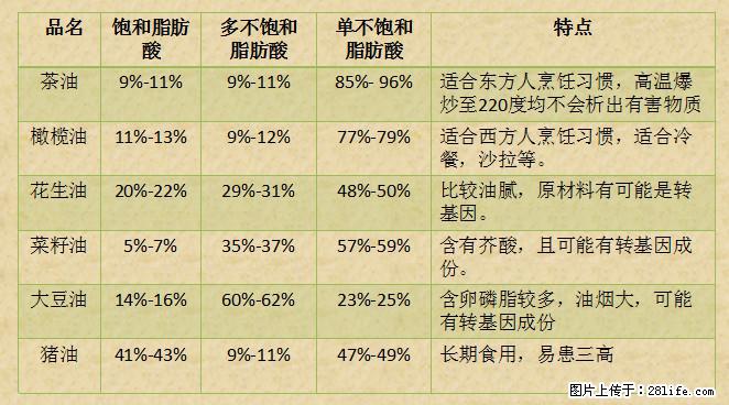 揭秘茶油的5大核心营养成分!被称为人体健康的“守护盾”! - 曲靖生活资讯 - 曲靖28生活网 qj.28life.net