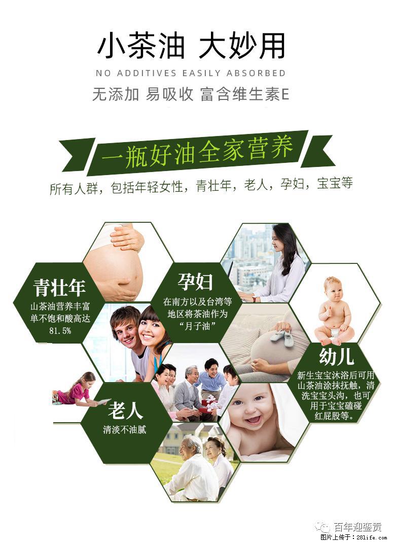 世界没有真相，只有认知，最好的食用油是中国的山茶油！ - 曲靖生活资讯 - 曲靖28生活网 qj.28life.net