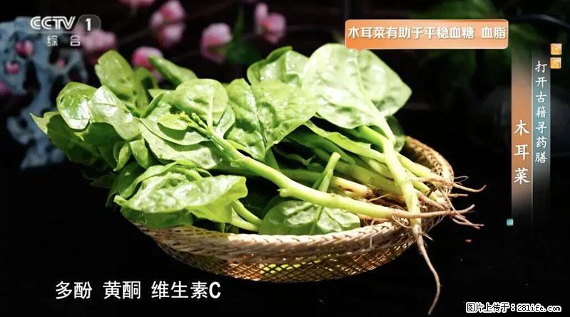 比牛奶补钙还厉害!凉血解毒、稳血糖...这菜冬天必吃,很多人却当草 - 曲靖生活资讯 - 曲靖28生活网 qj.28life.net