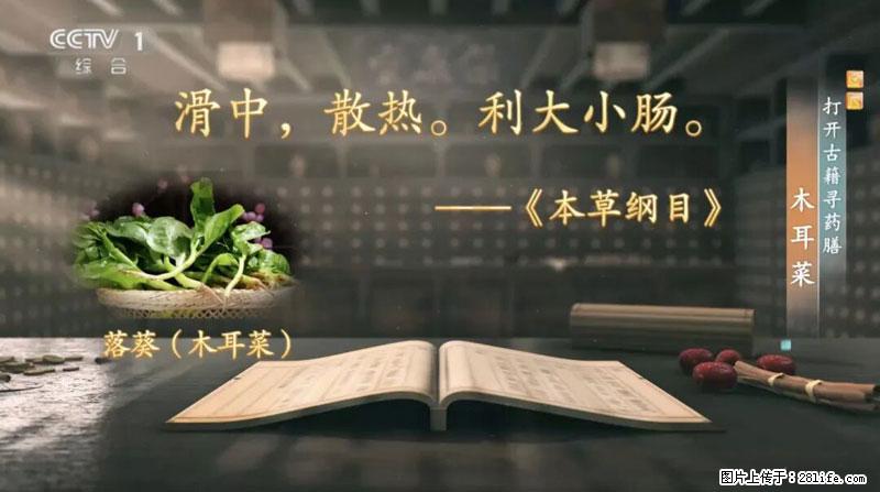 比牛奶补钙还厉害!凉血解毒、稳血糖...这菜冬天必吃,很多人却当草 - 曲靖生活资讯 - 曲靖28生活网 qj.28life.net